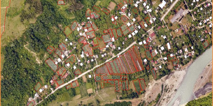 ვენახების რეგისტრაცია და საკადასტრო ინფორმაციის განახლება აქტიურად მიმდინარეობს