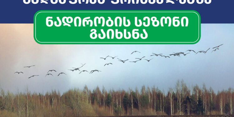 ნადირობის სეზონის განმავლობაში, გარემოსდაცვითი ზედამხედველობის დეპარტამენტი 24 საათიან კონტროლს განახორციელებს