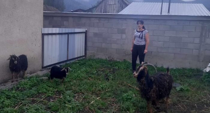 ბლოგი — ქალის ცხოვრება მთაში