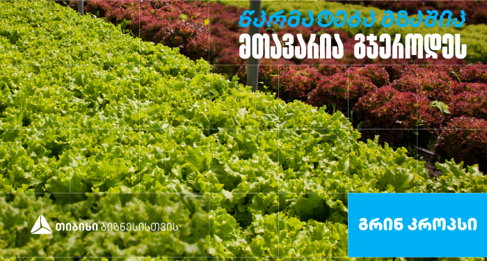 „გრინ კროპს დისტრიბუშენი” — სასათბურე მეურნეობა, რომელიც თიბისი ბიზნესის მხარდაჭერით განვითარდა