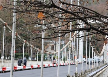 ბორჯომში სილამაზის ხიდის რეაბილიტაცია დასრულდა