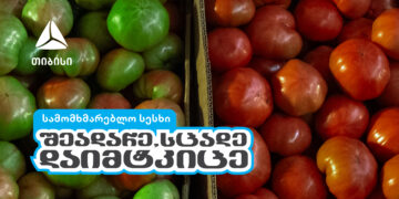 შეადარე, სცადე, დაიმტკიცე — თიბისის ახალი კამპანია