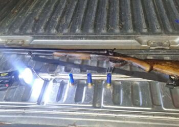 გარემოს დაცვითი ზედამხედველობის დეპარტამენტმა, ნადირობის სეზონის განმავლობაში, 720 სამართალდარღვევა გამოავლინა