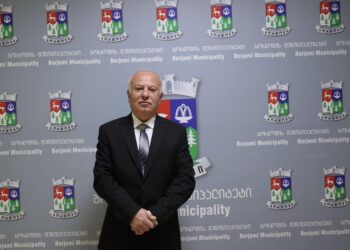 ბორჯომის მერს ახალი მოადგილე ჰყავს