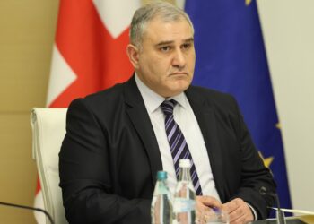 მიხეილ სარჯველაძე — „ფსიქოტროპული მედიკამენტის ფასი 12-ჯერ შემცირდა, საქმე გვაქვს ფასის კლებასთან და არა ხარისხის“