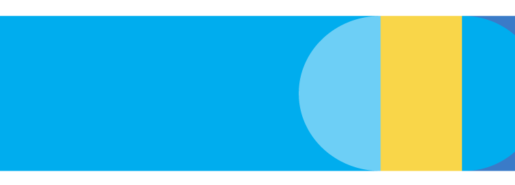 თიბისი კაპიტალმა მსხვილი ბიზნესისთვის სესხის ოპტიმალურ სავალუტო სტრატეგიაზე რეკომენდაციები გამოაქვეყნა