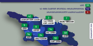 გარემოსდაცვითი ზედამხედველობის დეპარტამენტმა თებერვალში უკანონო ტყითსარგებლობის 191 ფაქტი გამოავლინა