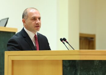 გივი მიქანაძემ საქართველოს პარლამენტში უმაღლესი განათლების სისტემის რეფორმის შესახებ ისაუბრა