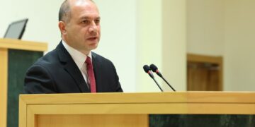 გივი მიქანაძემ საქართველოს პარლამენტში უმაღლესი განათლების სისტემის რეფორმის შესახებ ისაუბრა
